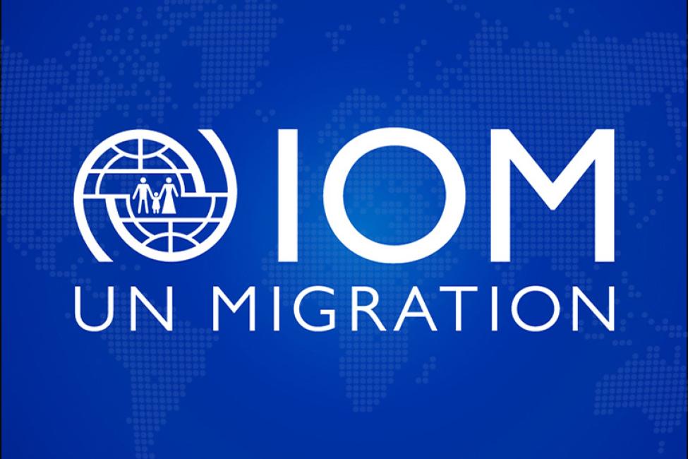 IOM-logo-standin_0