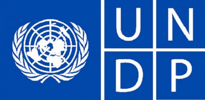 UNDP-810x398-696x342-1